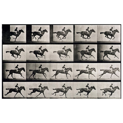 Photography: Two Centuries of History & Images